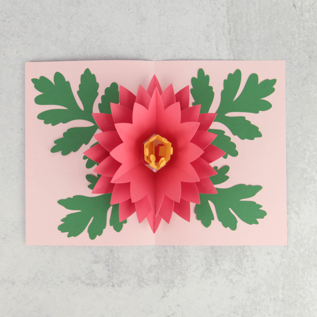 Free Free Flower Pop Up Card Svg Free SVG PNG EPS DXF File