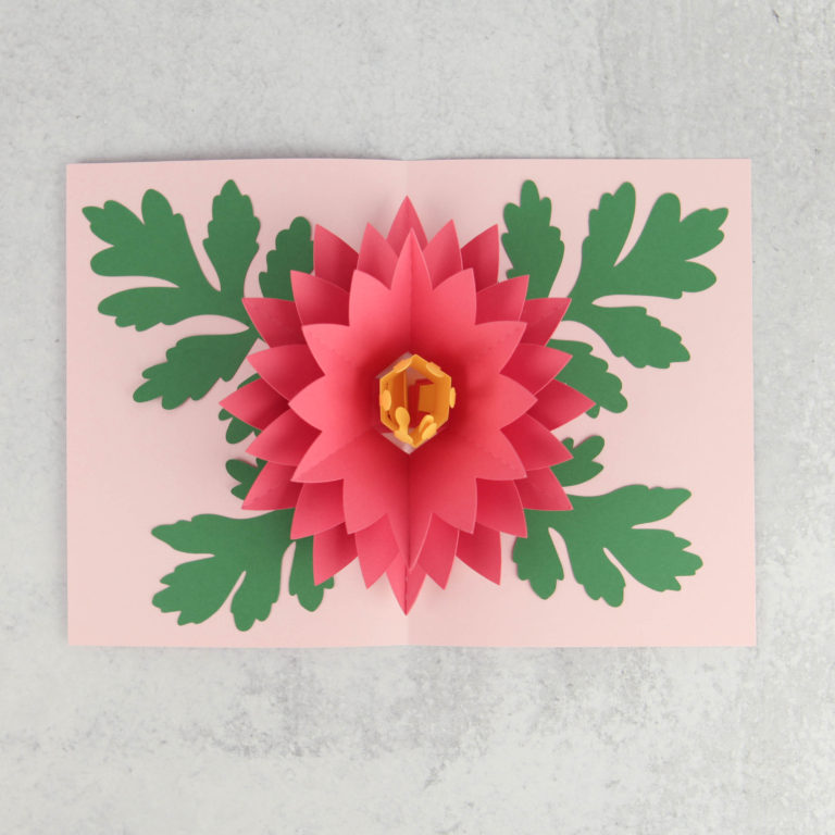 New 5×7 Pop Up Flower Cards – Lori Whitlock