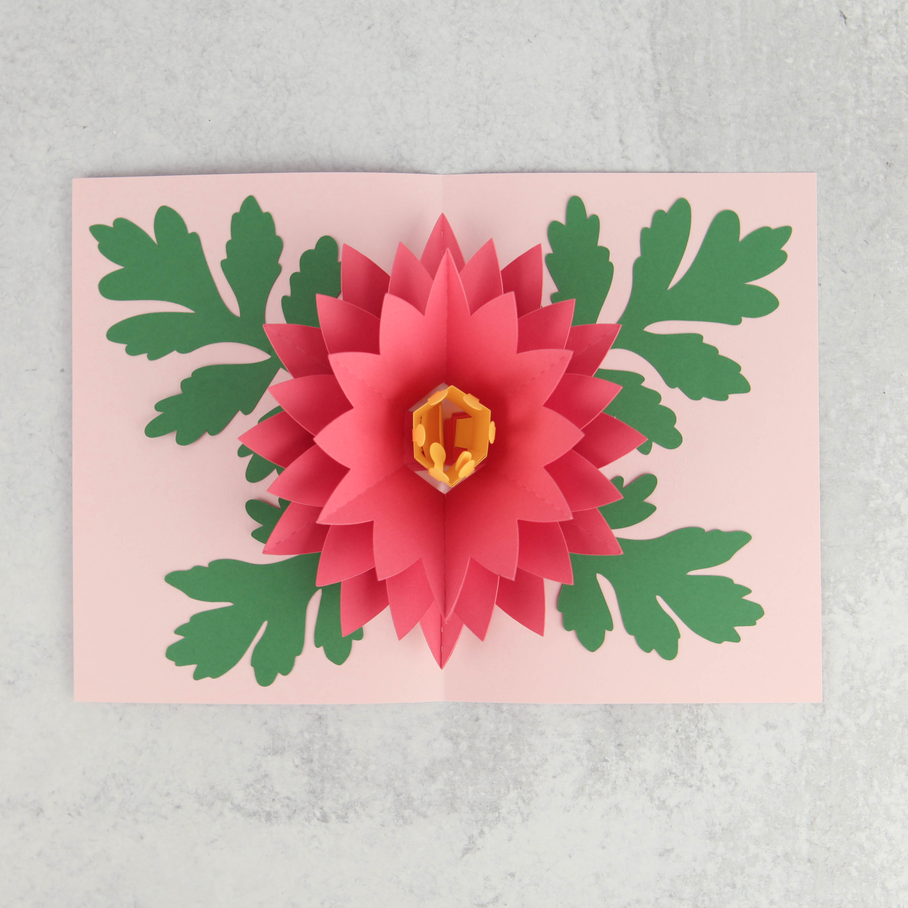 Lw 5×7 Pop Up Flower Card 1 Lori Whitlock