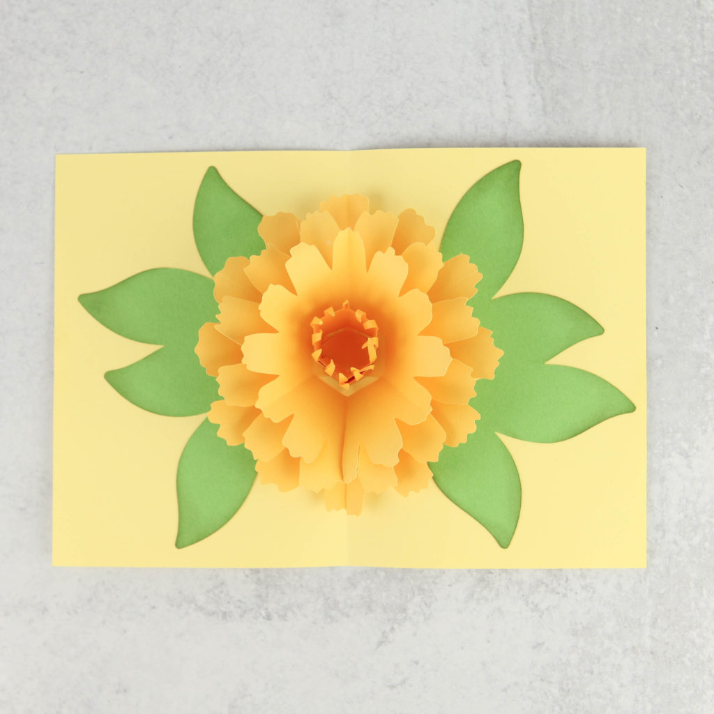 Free Free 268 Pop Up Flower Card Svg Free SVG PNG EPS DXF File